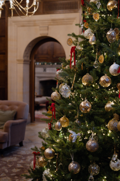Christimas tree, 2024, Yarnton manor