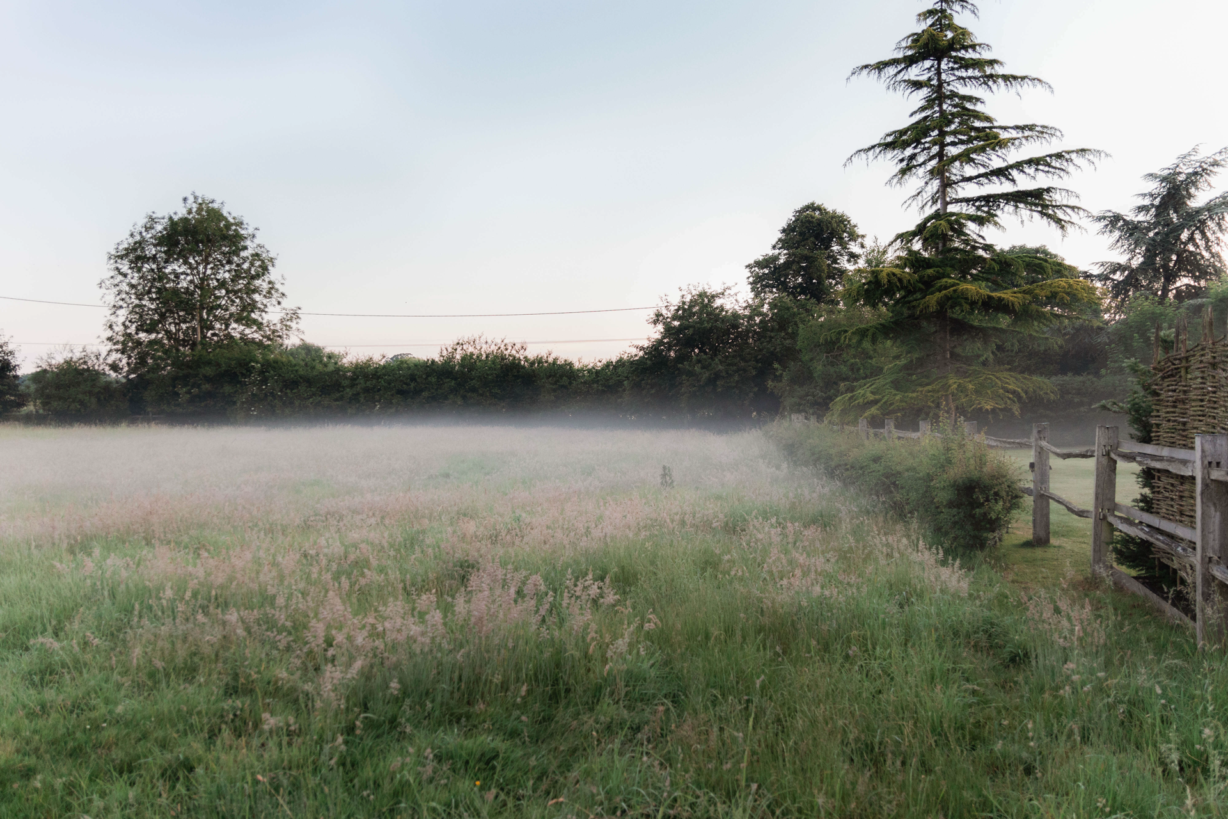 Fields in mist at Yarnton manor.