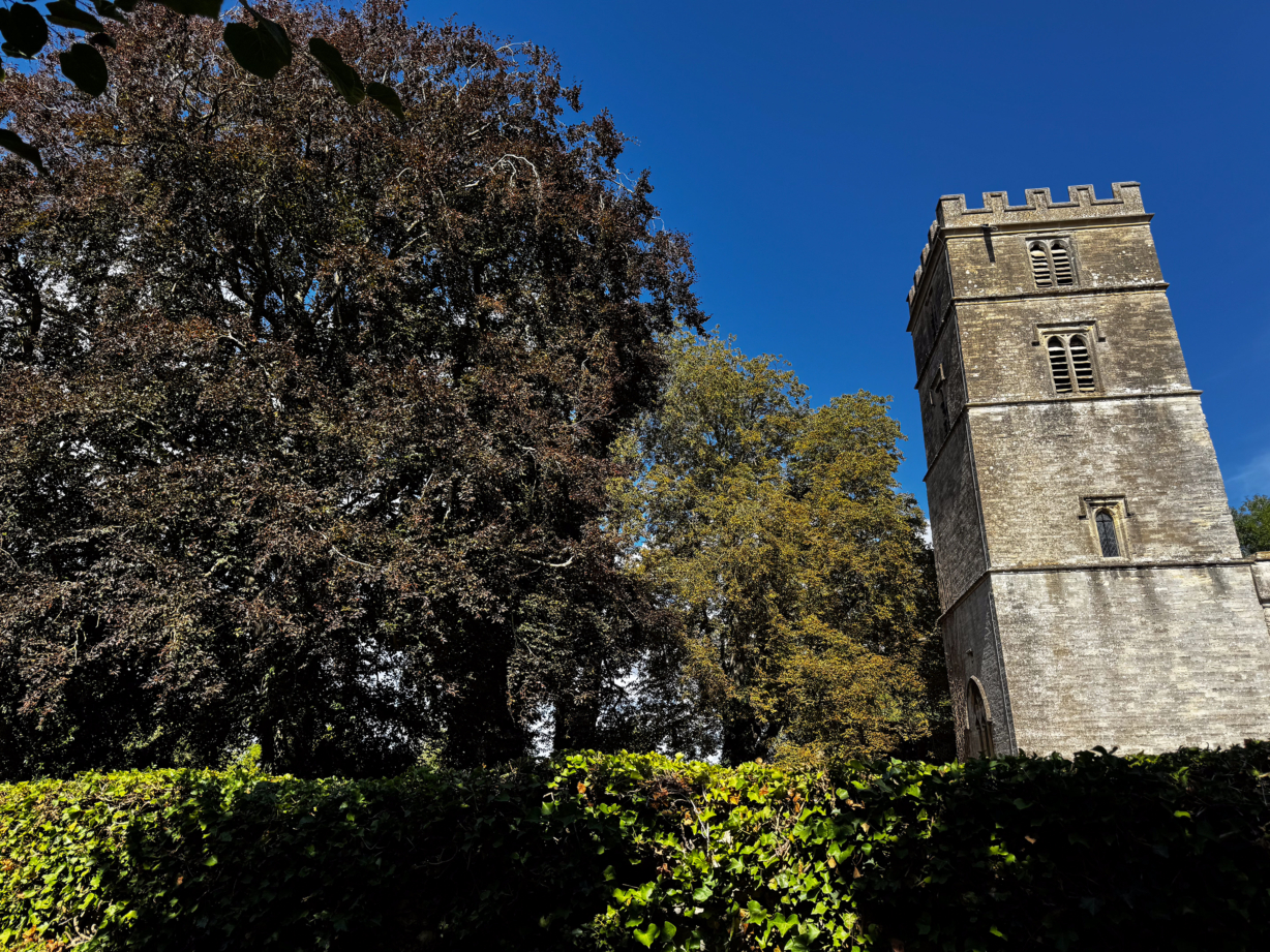 Beech tree at Yarnton Manor with bell tower
